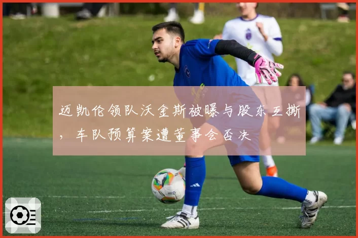 迈凯伦领队沃金斯被曝与股东互撕，车队预算案遭董事会否决