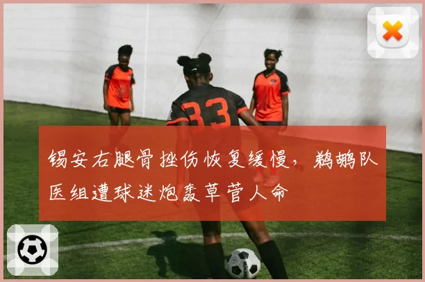 锡安右腿骨挫伤恢复缓慢,鹈鹕队医组遭球迷炮轰草菅人命