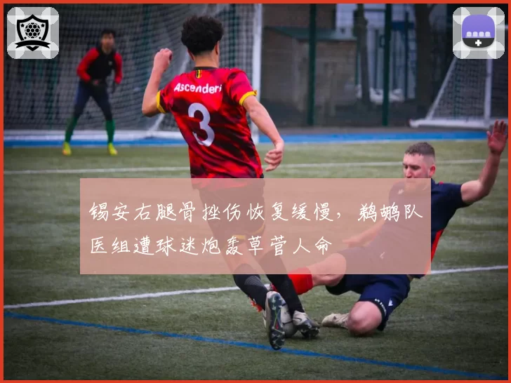 锡安右腿骨挫伤恢复缓慢,鹈鹕队医组遭球迷炮轰草菅人命