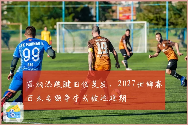 苏炳添跟腱旧伤复发，2027世锦赛百米名额争夺或被迫延期