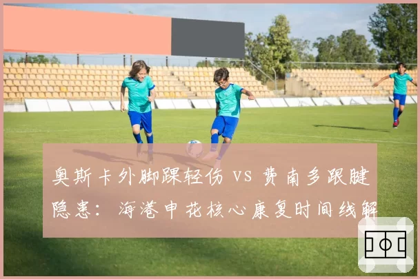奥斯卡外脚踝轻伤 vs 费南多跟腱隐患：海港申花核心康复时间线解析