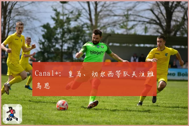 Canal+：皇马、切尔西等队关注雅乌恩